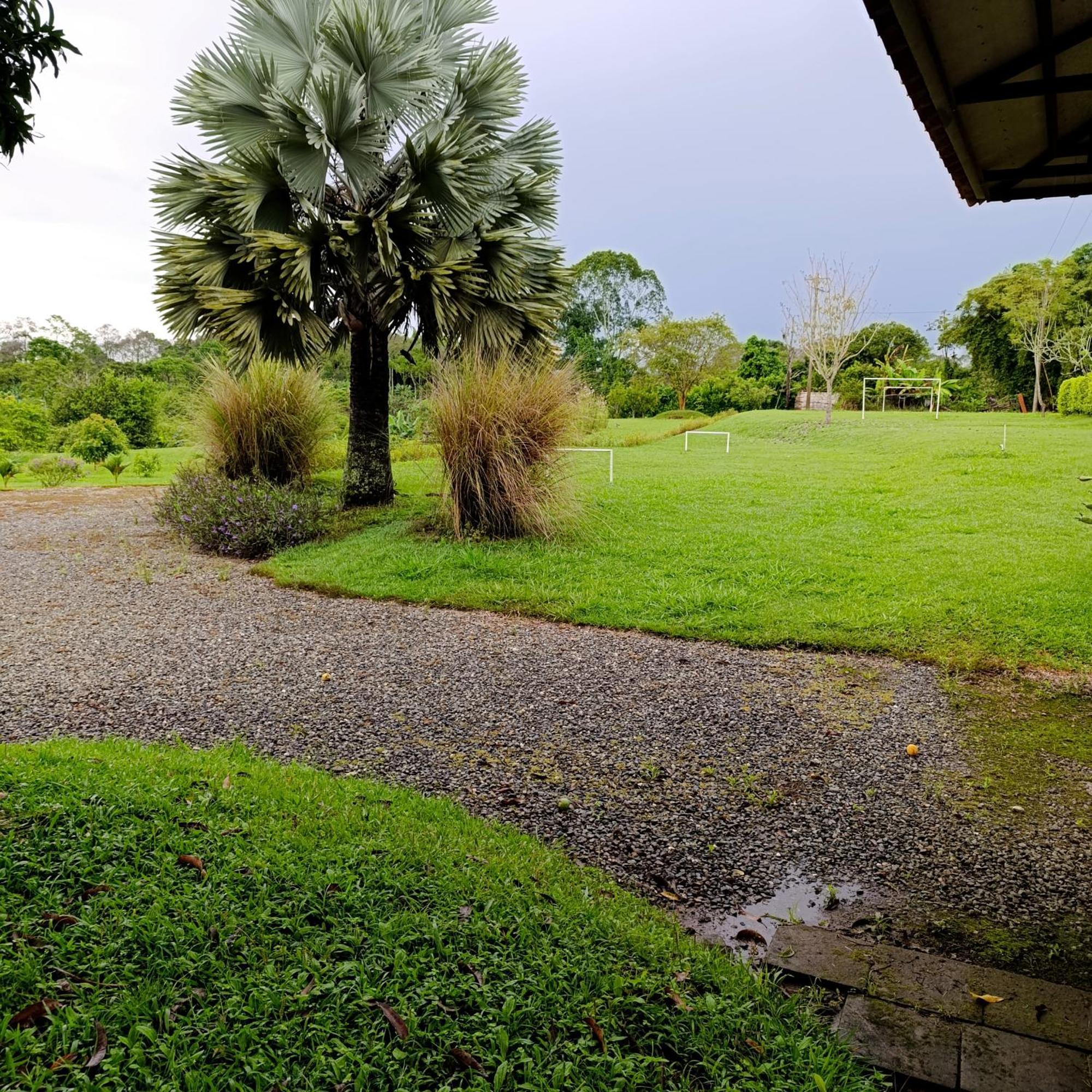 Hotel Campestre Los Mangos Quimbaya Kültér fotó