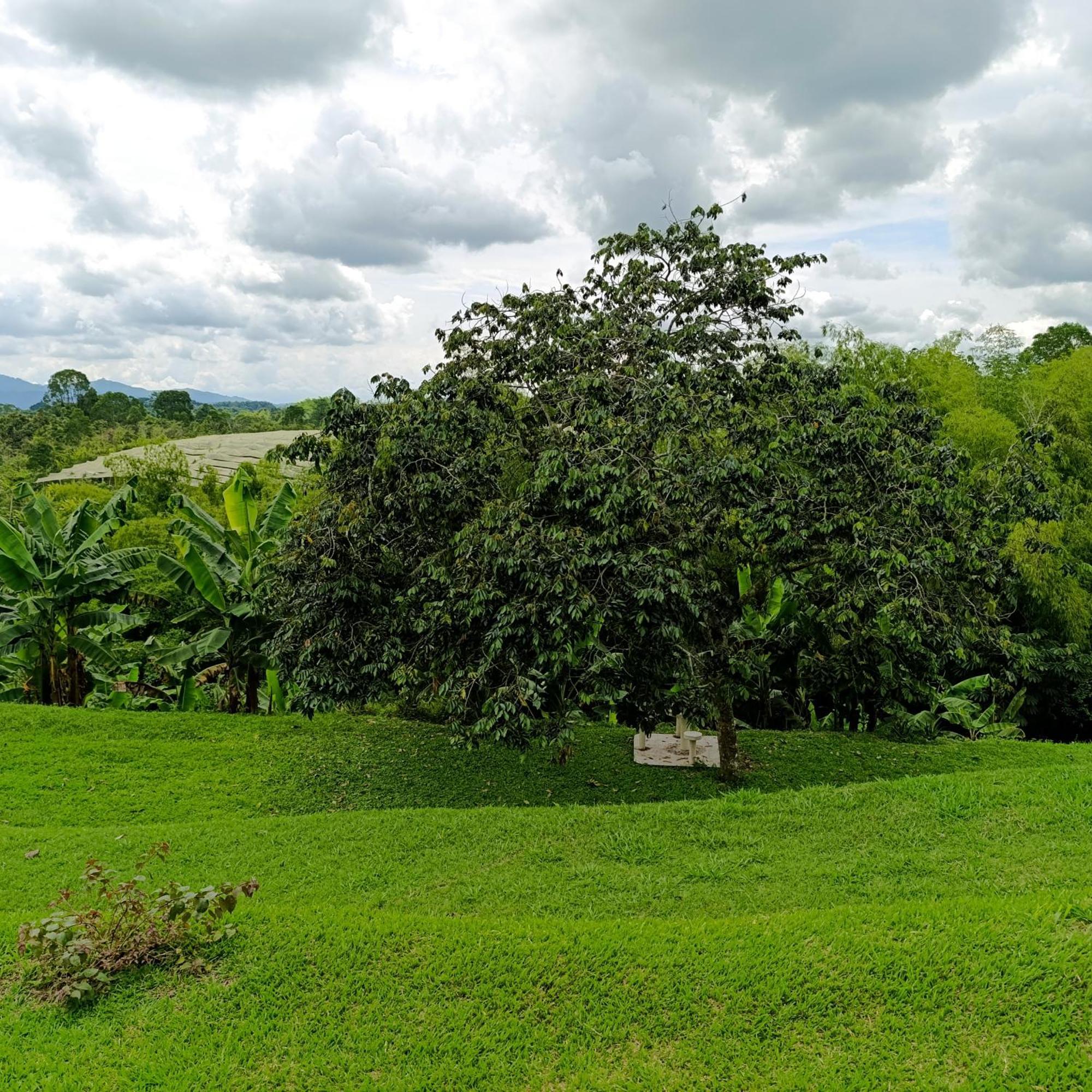 Hotel Campestre Los Mangos Quimbaya Kültér fotó
