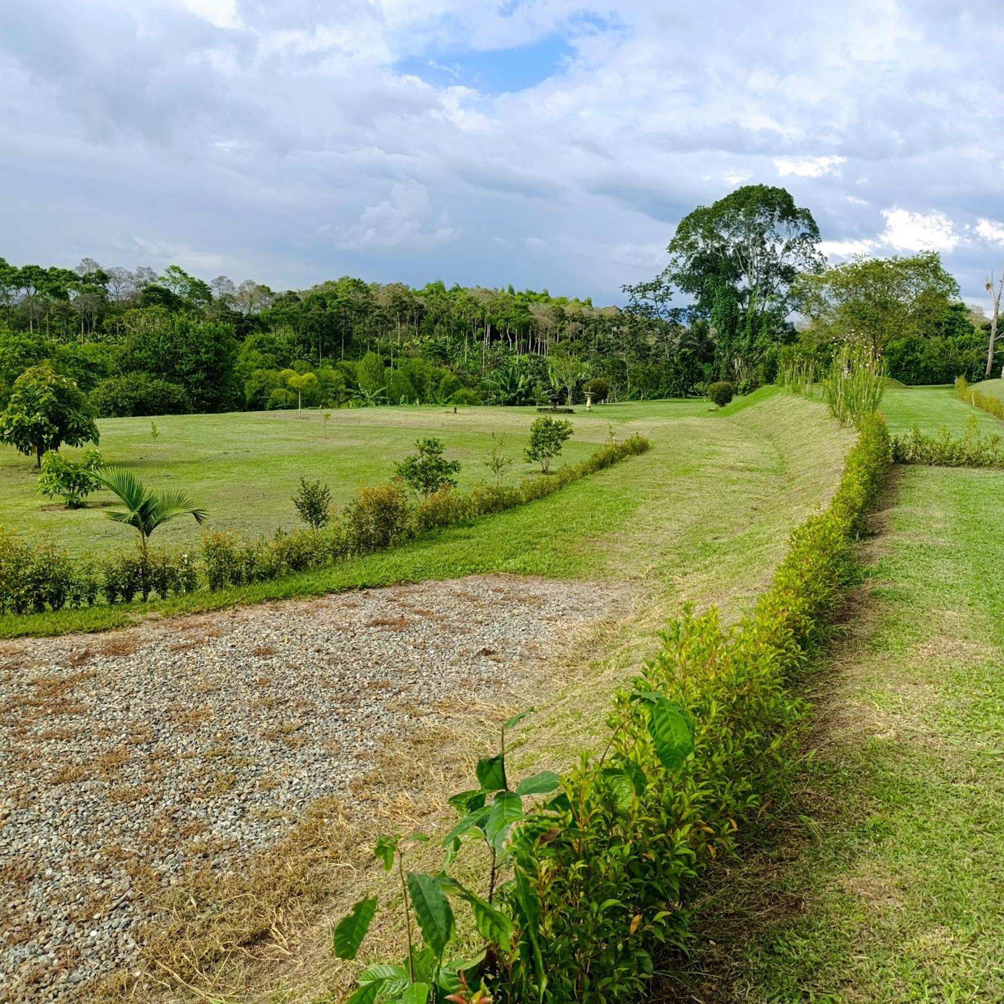 Hotel Campestre Los Mangos Quimbaya Kültér fotó